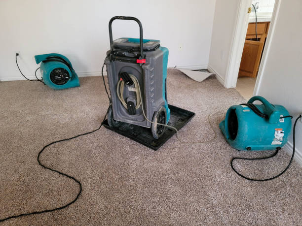 Best Professional water damage repair  in Prairie View, TX