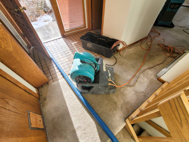 Best Flood restoration services  in Prairie View, TX