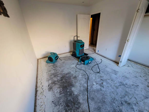 Best Basement water damage restoration  in Prairie View, TX