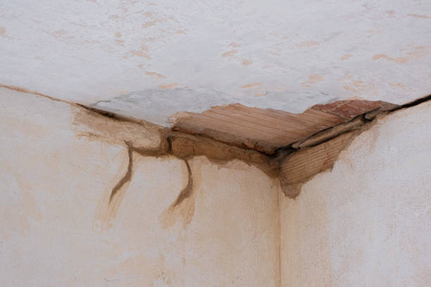 Best Local water damage restoration  in Prairie View, TX