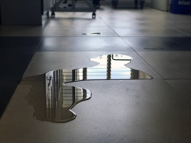 Best Carpet water damage restoration  in Prairie View, TX
