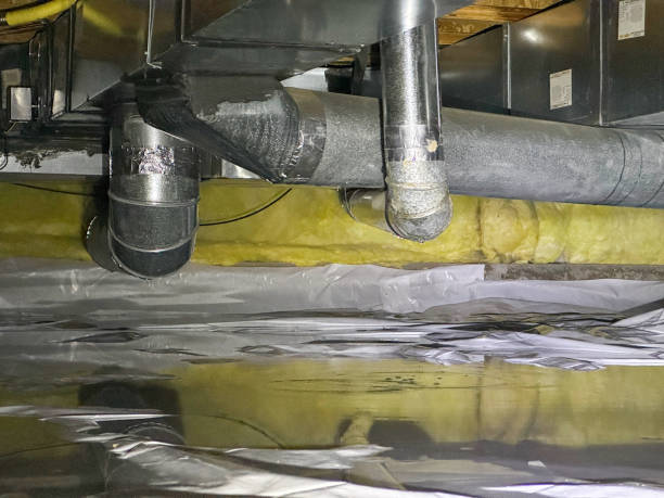 Best Water damage contractors near me  in Prairie View, TX