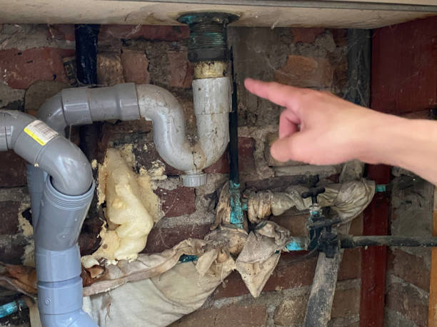 Best Flooded house restoration  in Prairie View, TX